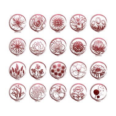 Çiçek simgeleri koleksiyonu