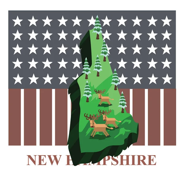 Nuevo Mapa Del Estado Hampshire — Vector de stock
