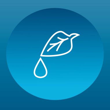 Su damlasıyla yaprak