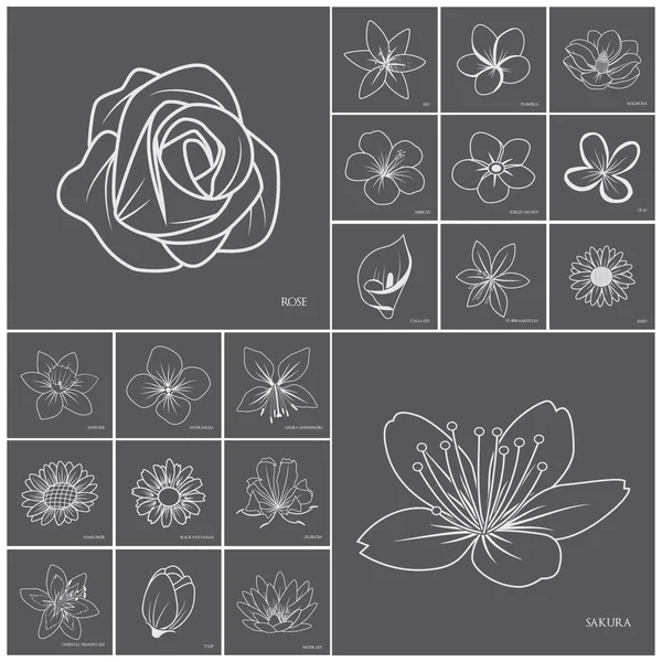 Collection Flower Icons Royalty Free Stock Illustrations