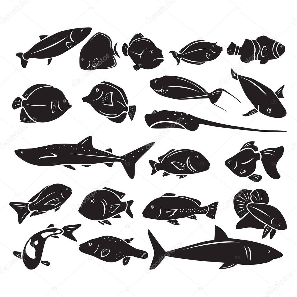 Silhouette of sea fishes