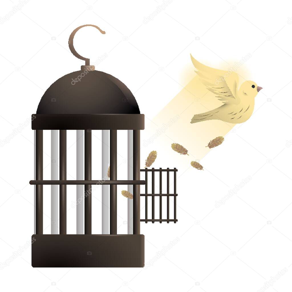 Dove flying out of cage