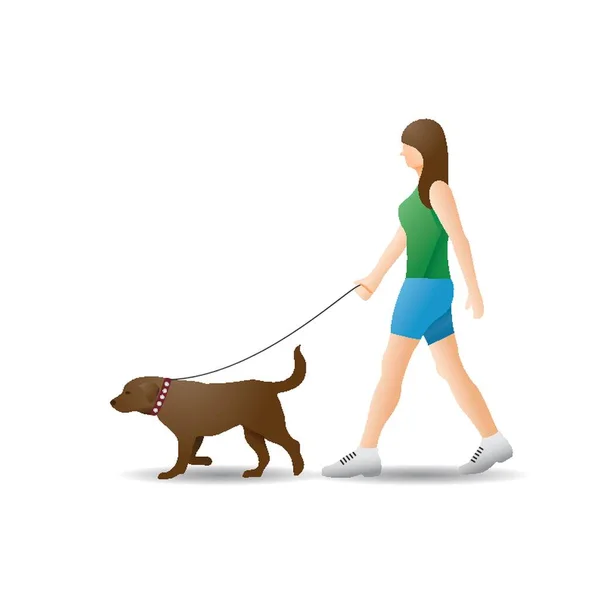 Chica Tomando Perro Para Caminar — Vector de stock