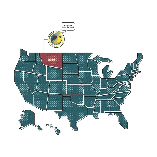 Mapa Com Pássaro Estado Montana — Vetor de Stock