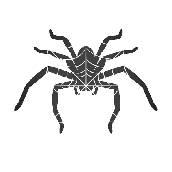 Dvojitá Expozice Pavouka Pavučiny — Stockový vektor