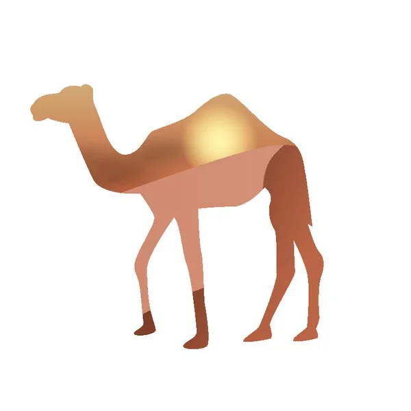 Doble Exposición Camello Desierto — Vector de stock