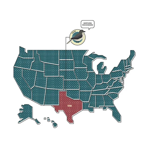 Mapa Texaským Stavovým Ptákem — Stockový vektor