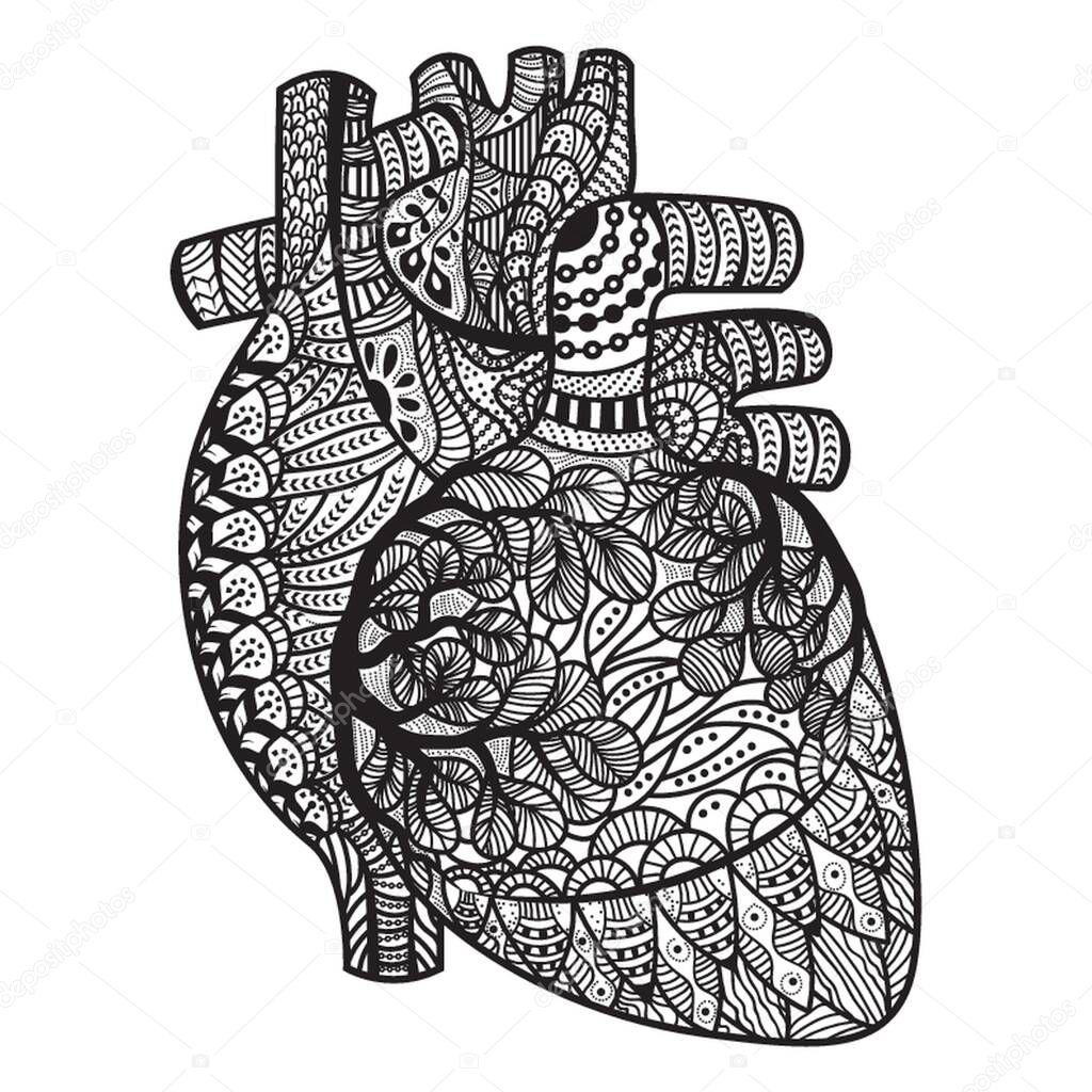 intricate human heart design