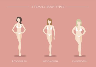 three female body types clipart
