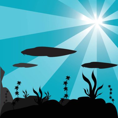 Balık sürüsünün silueti