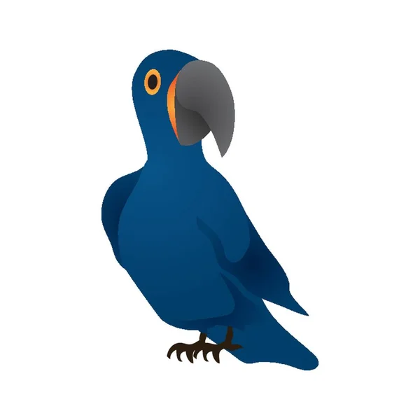 Απεικόνιση Του Φορέα Του Ζώου Macaw — Διανυσματικό Αρχείο