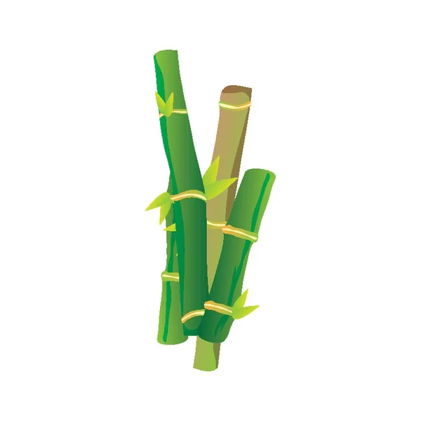 Bambushalme Vektor Illustration — Stockvektor