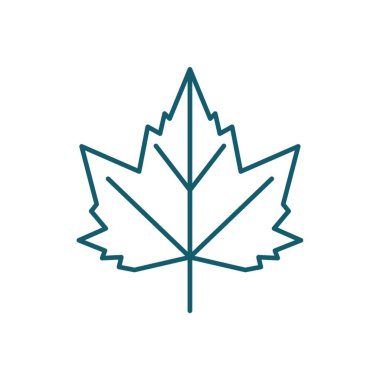 Bir akçaağaç yaprağı çizimi.