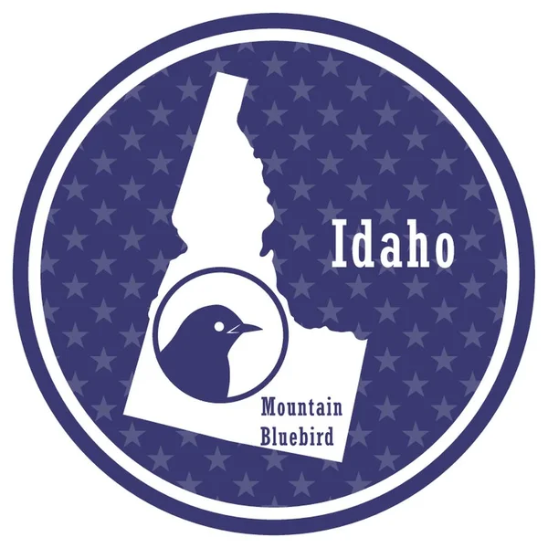Idaho Staat Kaart Met Berg Blauwduif — Stockvector
