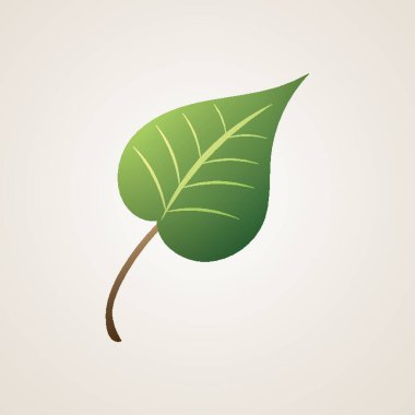Green leaf vector illustration clipart