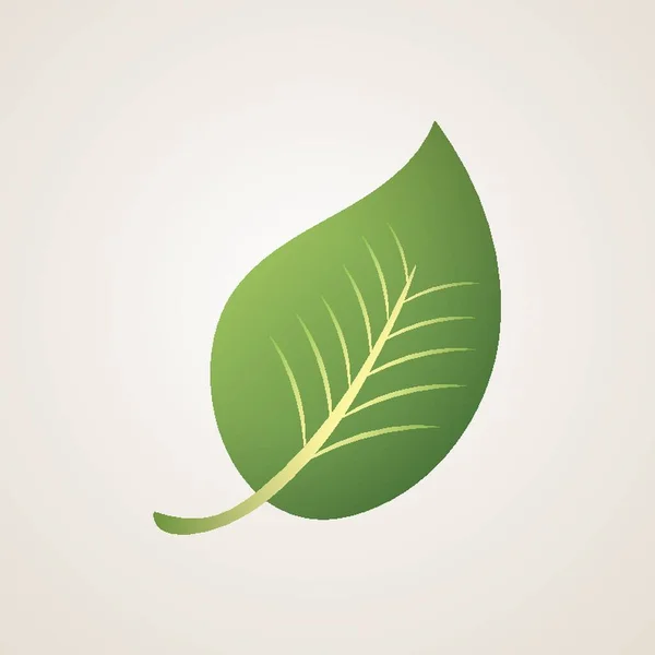 Green Leaf Vector Illustration — Stock Vector