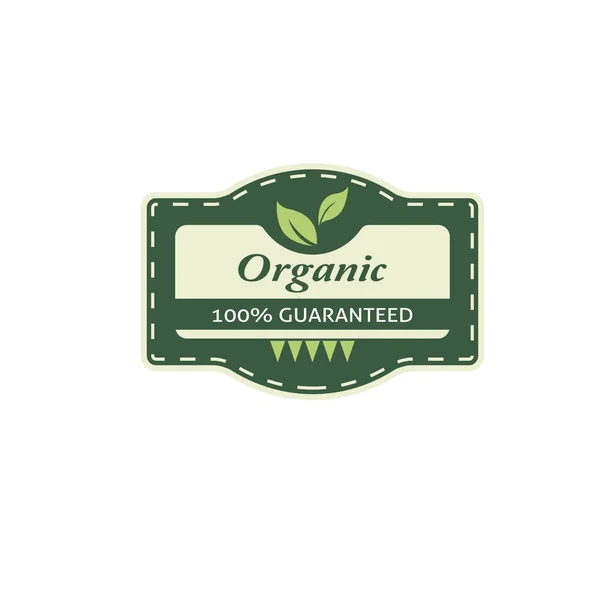 Векторный Зеленый Эко Логотип Оливковым Маслом — стоковый вектор
