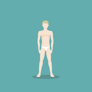 İnsan vücudu anatomisi, vektör illüstrasyonu