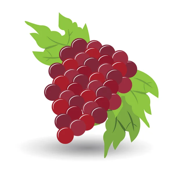 Färsk Frukt Ikon Vektor Illustration Design — Stock vektor