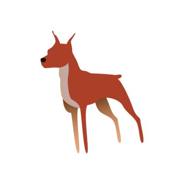 Köpek simgesinin vektör illüstrasyonu