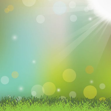 Gökyüzünde parlayan yeşil çimenler ve güneş