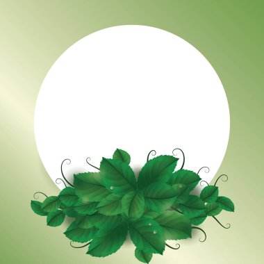 yapraklar çerçeve, tasarım vektörü illüstrasyonu