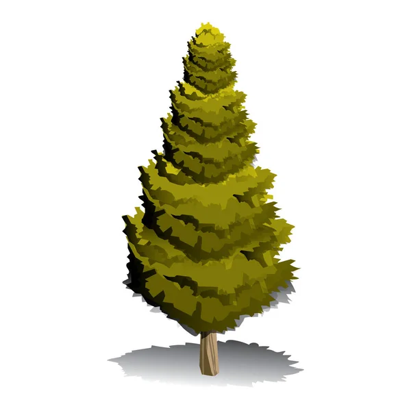 Illustration Vectorielle Arbre Avec Sapin Vert — Image vectorielle