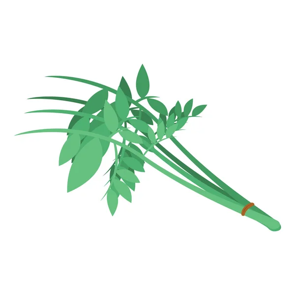 Vektorillustration Eines Zweiges Einer Pflanze — Stockvektor