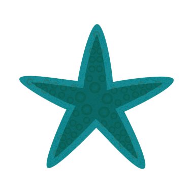 beyaz arkaplanda izole edilmiş denizyıldızı