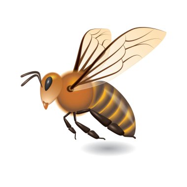 bal arısı yassı simgesi, vektör illüstrasyonu