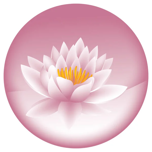 Water Lily Vector Illustration Icon — Stock Vector