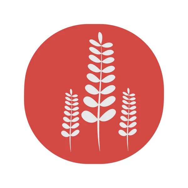 Пшениця Дизайн Векторні Ілюстрації — стоковий вектор