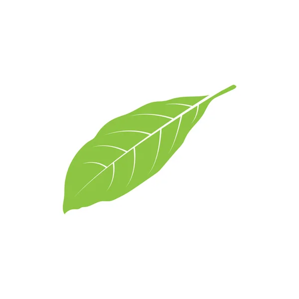 Grünes Blatt Isoliert Auf Weißem Hintergrund — Stockvektor