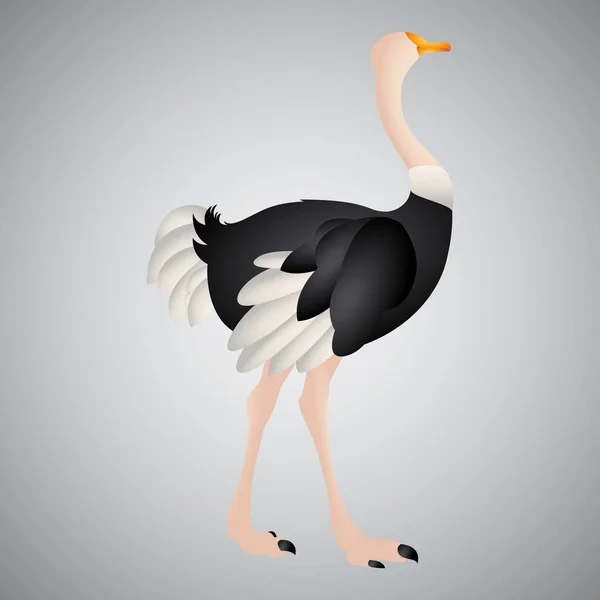 Ilustración Vectorial Ave Forma Cisne — Vector de stock