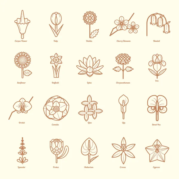 Набор Векторных Иконок Растений Цветов — стоковый вектор