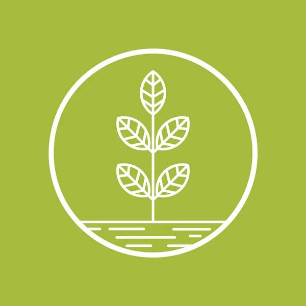 Ilustracja Wektorowa Ikony Zielonej Rośliny — Wektor stockowy