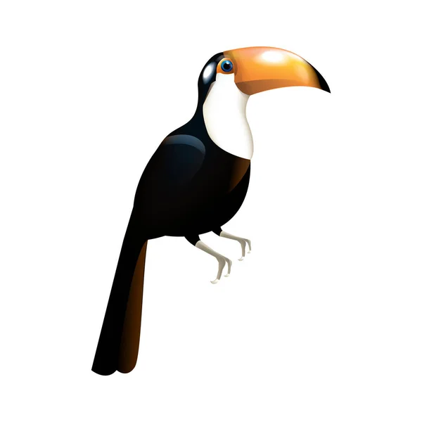 Toucan Pták Velkým Zobákem — Stockový vektor