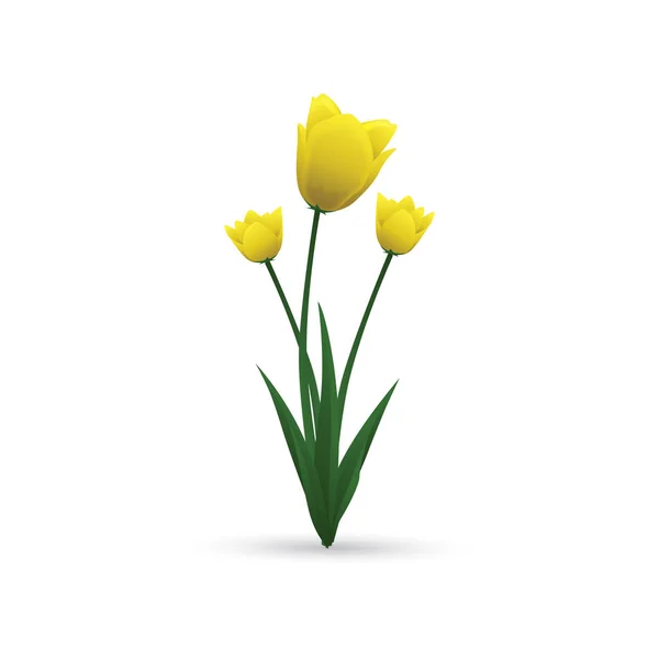 Flores Tulipán Diseño Vector Ilustración — Archivo Imágenes Vectoriales
