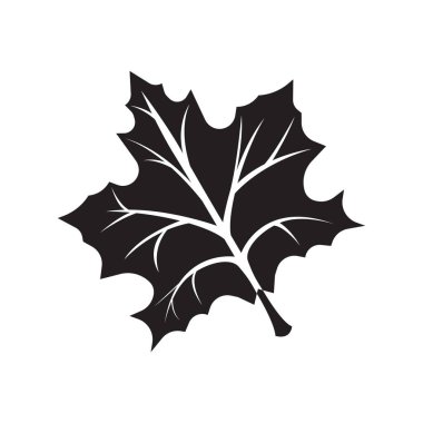 Akçaağaç yaprağı, tasarım vektörü çizimi