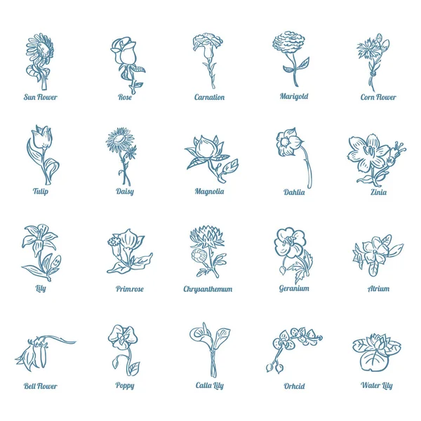 Conjunto Iconos Flores Ilustración Vector Estilizado — Vector de stock