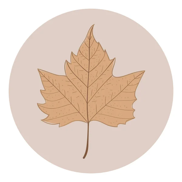 ウェブのための平面円孤立ベクトル図のカエデの葉のアイコン — ストックベクタ