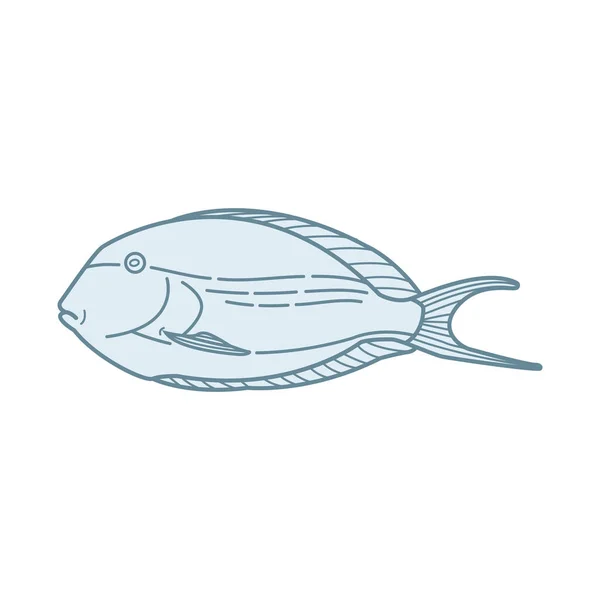 Ryby Návrh Vektorové Ilustrace — Stockový vektor