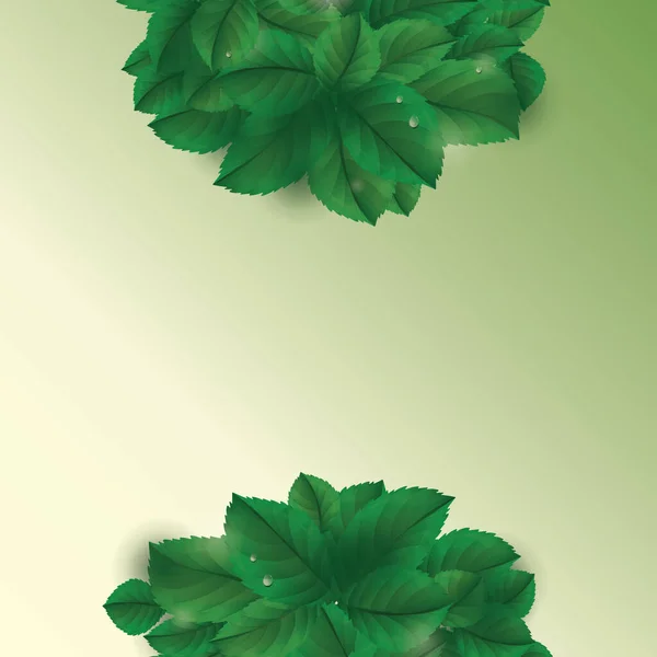 Feuilles Cadre Illustration Vectorielle Conception — Image vectorielle