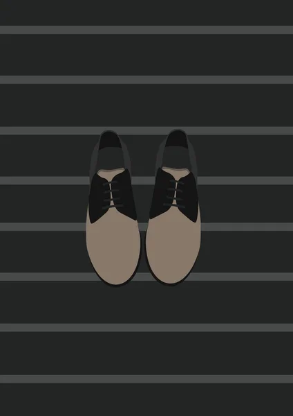 Sapatos Ilustração Vetorial Estilizada — Vetor de Stock