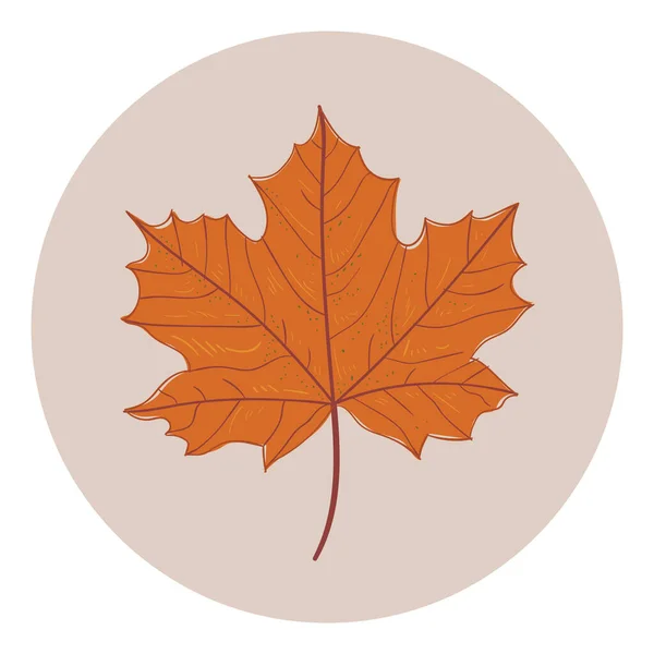 Ikon Daun Maple Dalam Lingkaran Datar Ilustrasi Vektor Terisolasi Bagi - Stok Vektor