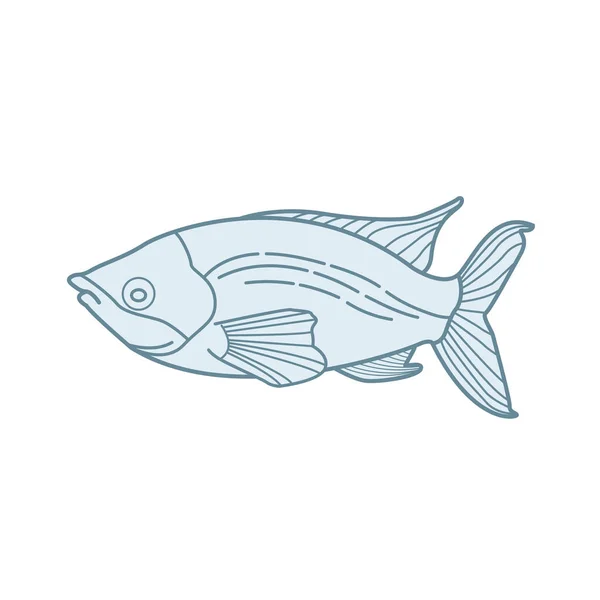 Fish Design Vector Illustration — Stock Vector