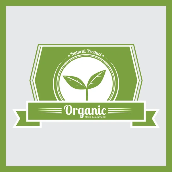 Diseño Alimentos Orgánicos Ilustración Vectores Eps10 Gráfico — Vector de stock