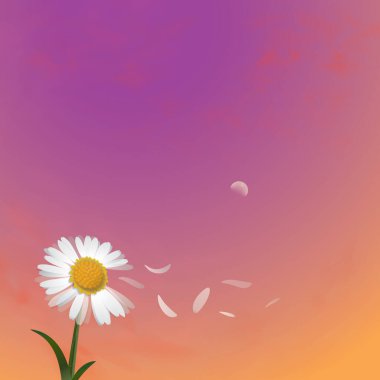 Gökyüzünün arka planında güzel pembe bir çiçek