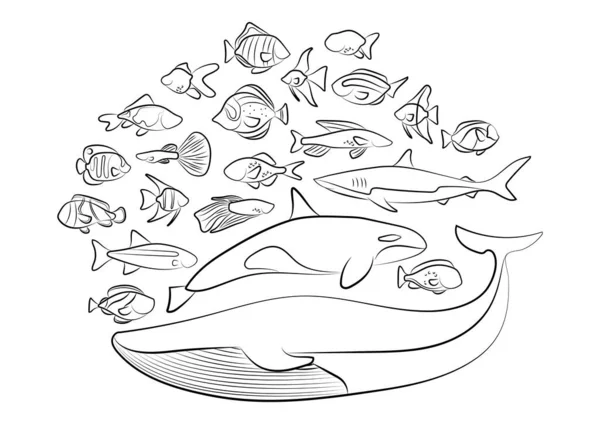 Ψάρια Και Θαλασσινά Διανυσματική Απεικόνιση — Διανυσματικό Αρχείο