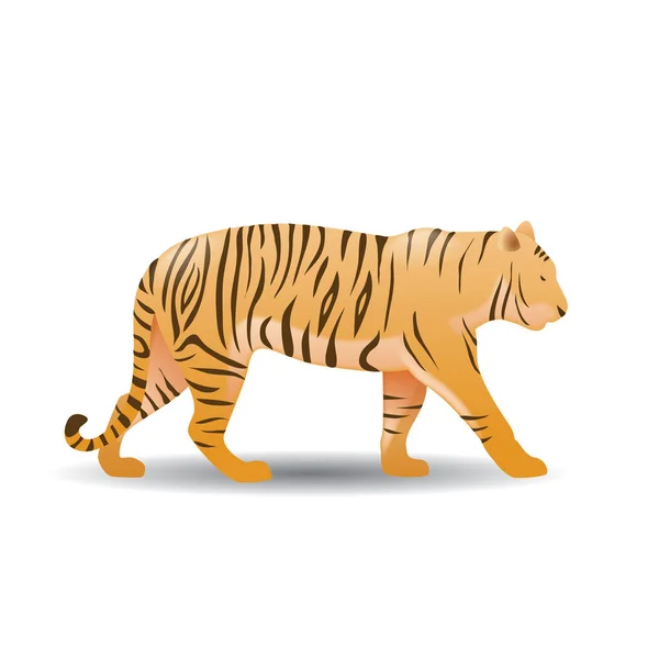 Tiger Icon Vector Illustration — Stock Vector